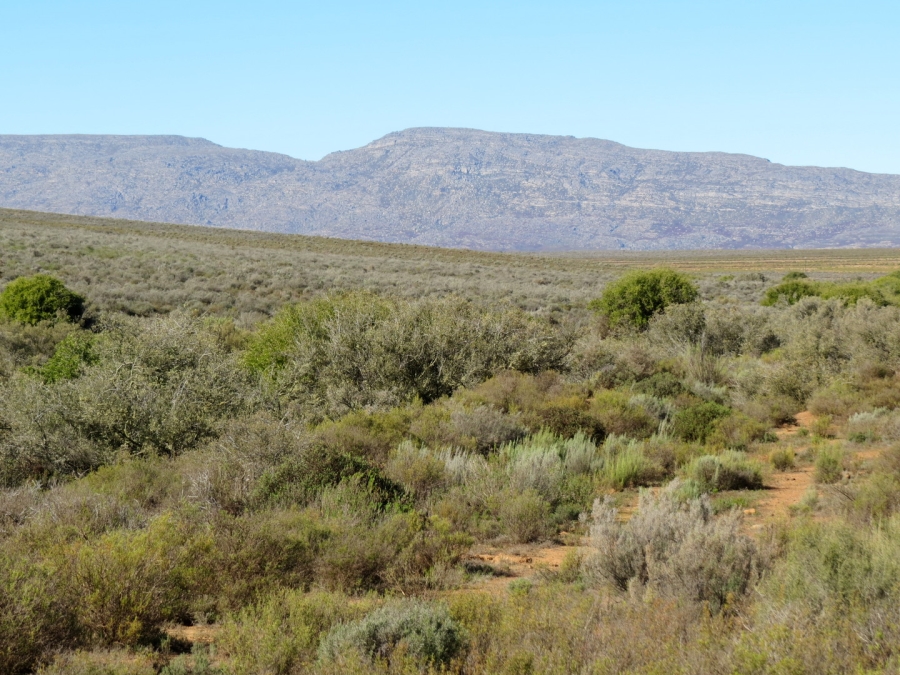 Commercial Property for Sale in Montagu Rural Western Cape